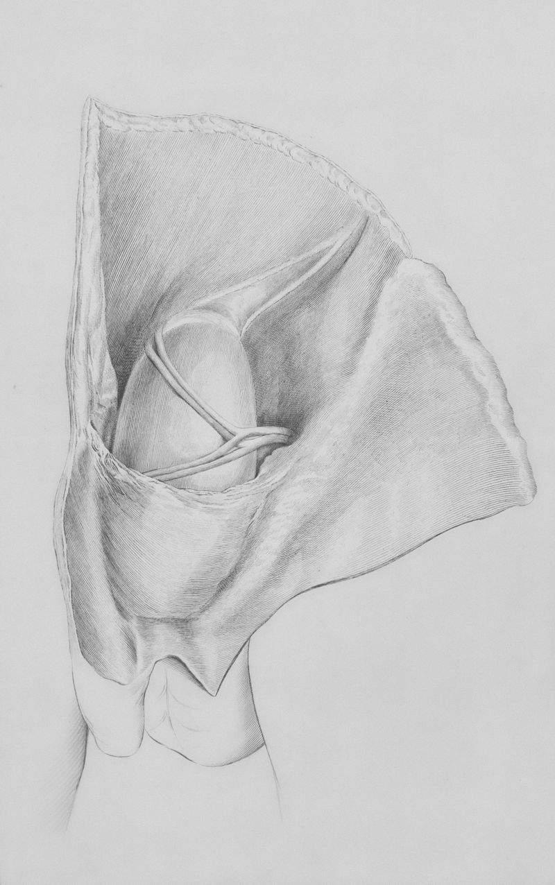 新しい年を迎えるためのドローイングテクニック